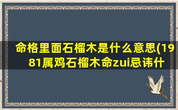 命格里面石榴木是什么意思(1981属鸡石榴木命zui
忌讳什 🐺 么)